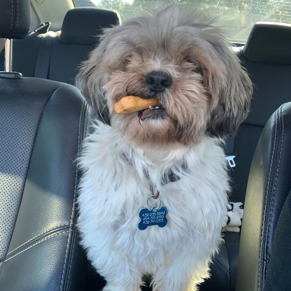 Meet your Posher, Carrie - Picture 1 of 1